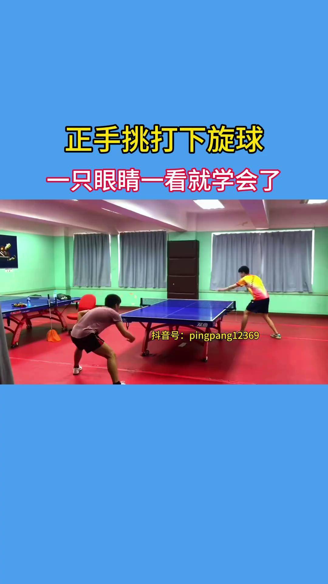 包含“乒乓球训练营：从基础到高级技巧全面提升！”的词条